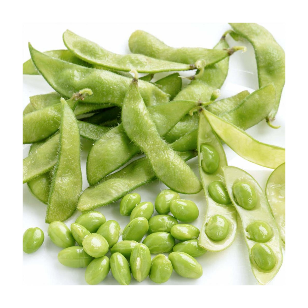 BIO Sója Green Shell - Glycine max - bio semená - 20 ks