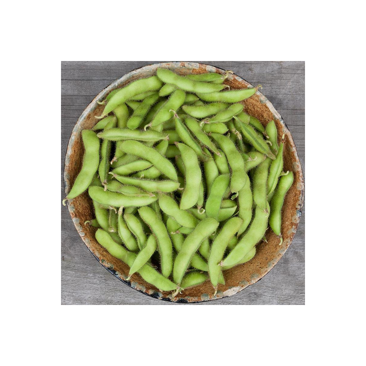 BIO Sója Edamame Chiba Green - Glycine max - bio semená - 20 ks