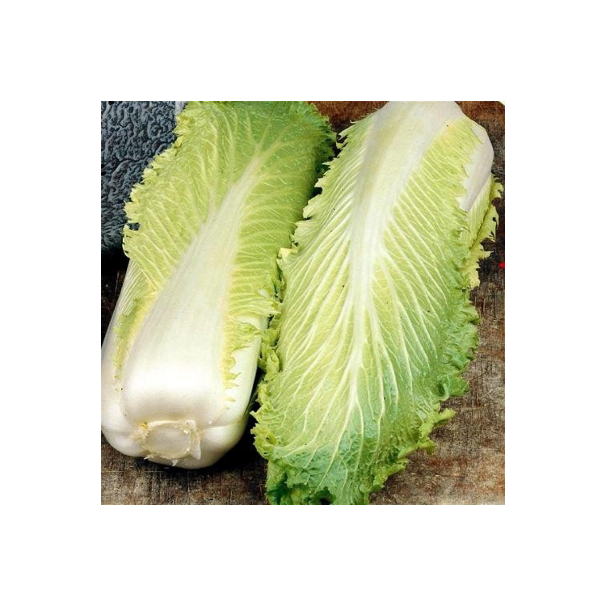 BIO Kapusta Granat - Brassica rapa pekinensis - bio semená - 100 ks