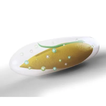 Dosevové perly na dosev trávnika - Kiepenkerl - trávna zmes - 100 g