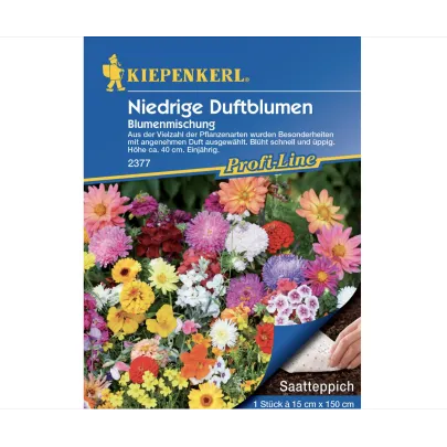 Výsevný koberec nízke voňavé kvety - výsevný pásik - 15x150 cm