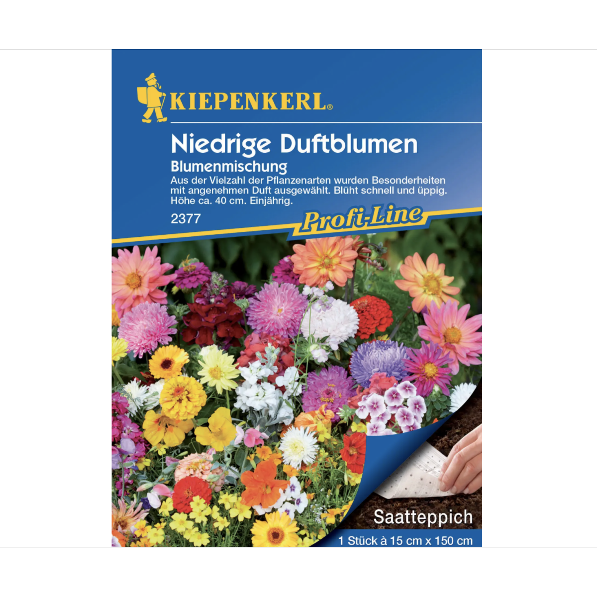 Výsevný koberec nízke voňavé kvety - výsevný pásik - 15x150 cm