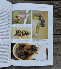 Domčeky pre včely a užitočný hmyz - kniha - 1 ks