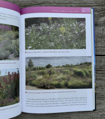 Kvetiny pre suché záhrady - kniha - 1 ks