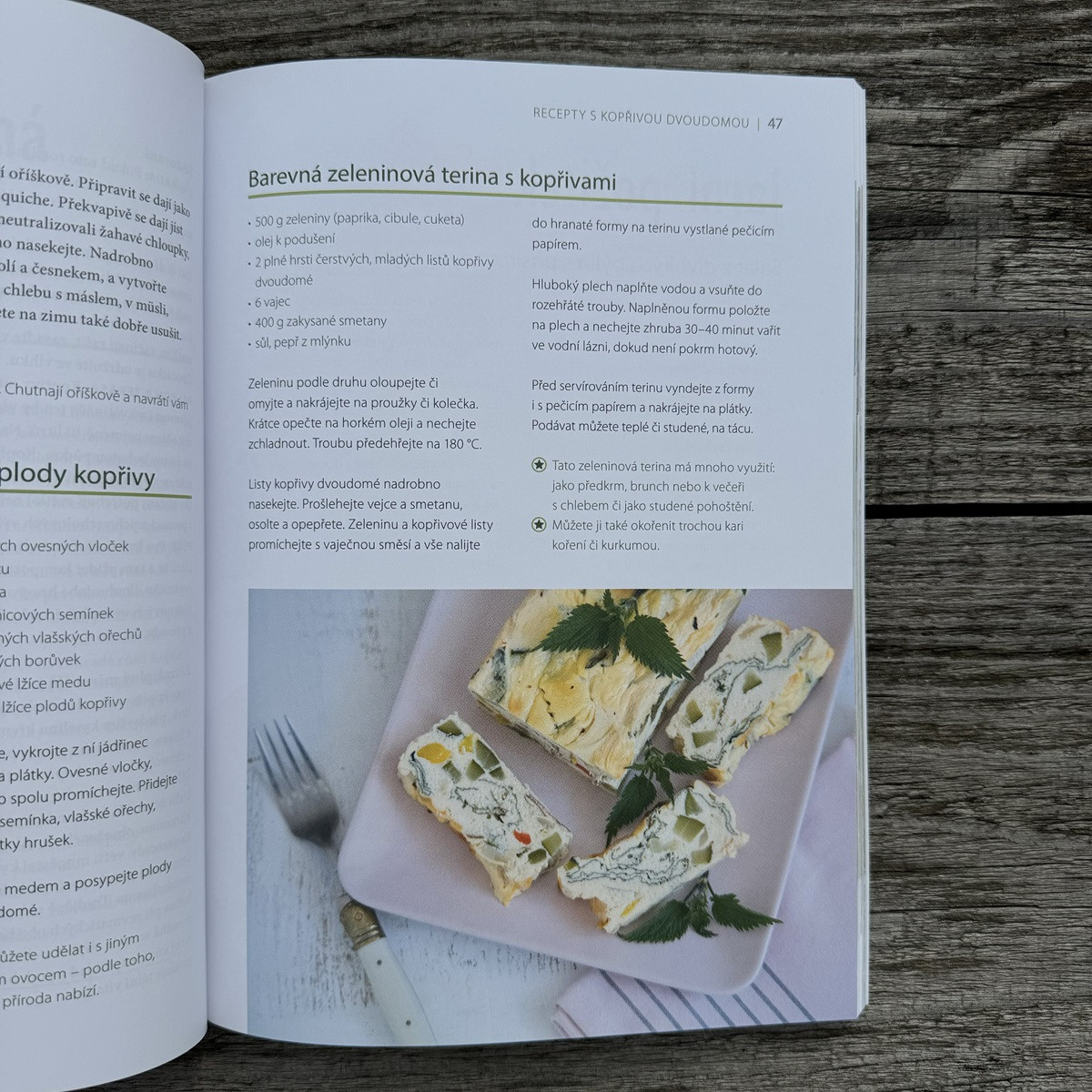 Liečivé byliny v kvetináči a na záhrade - kniha - 1 ks