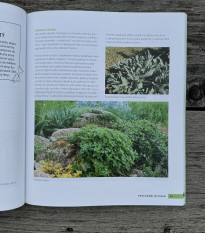 Bylinky pre každého - kniha - 1 ks