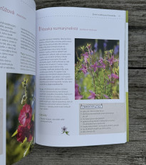 Moja motýlia záhrada - kniha - 1 ks