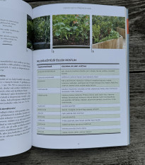 Ako na vyvýšené záhony - kniha - 1 ks