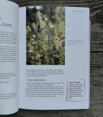 Burina na tanieri - kniha - 1 ks