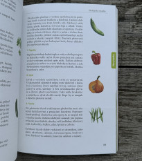 Skúste to doma sami - záhrada a balkón - kniha - 1 ks