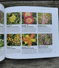 Statoční v záhrade - kniha - 1 ks