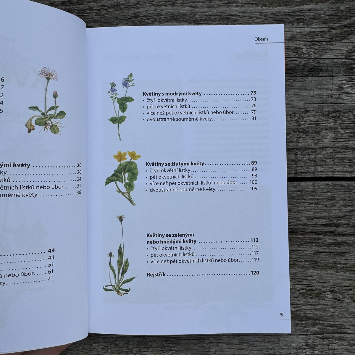 Kvetiny - rozpoznajte ľahko 100 druhov - kniha - 1 ks