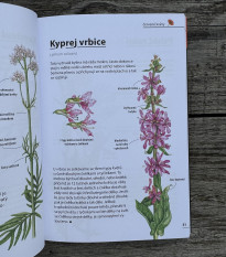 Kvetiny - rozpoznajte ľahko 100 druhov - kniha - 1 ks