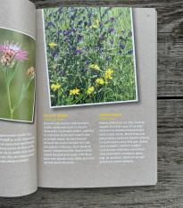 Ako zachrániť včely - kniha - 1 ks