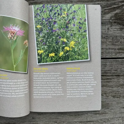 Ako zachrániť včely - kniha - 1 ks