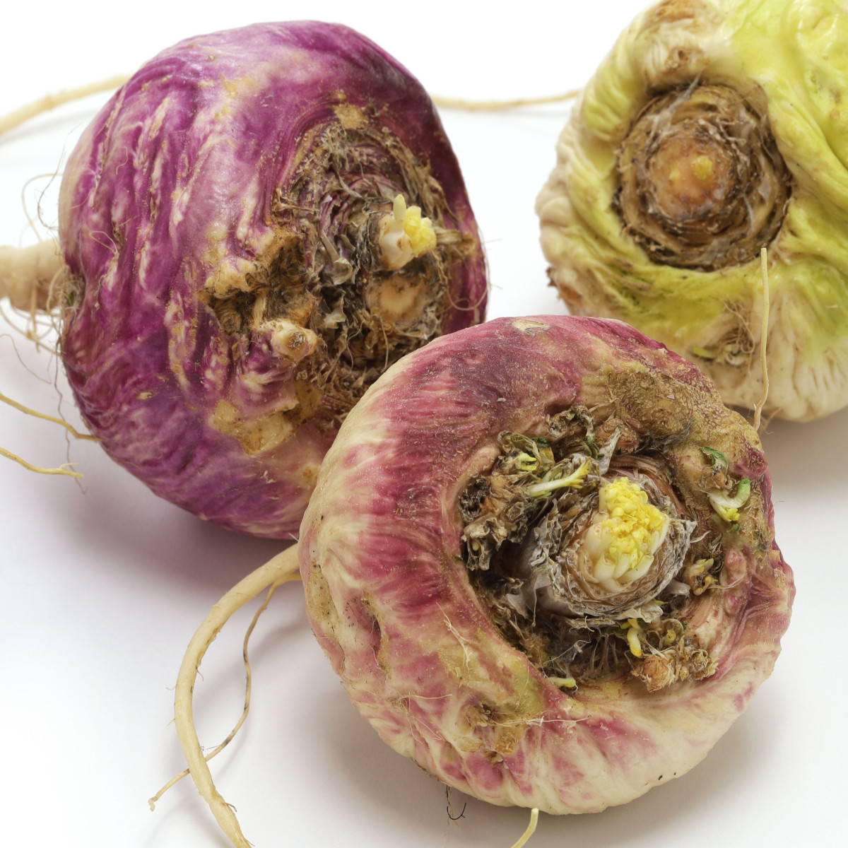 Ženšen peruánsky fialový - Lila Maca - Lepidium - semená - 5 ks