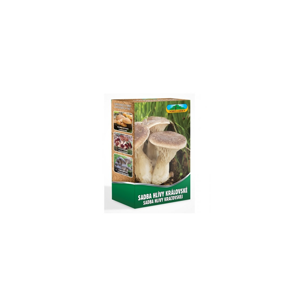 Hliva kráľovská máčková - Pleurotus eryngii - sadivo - 250 ml