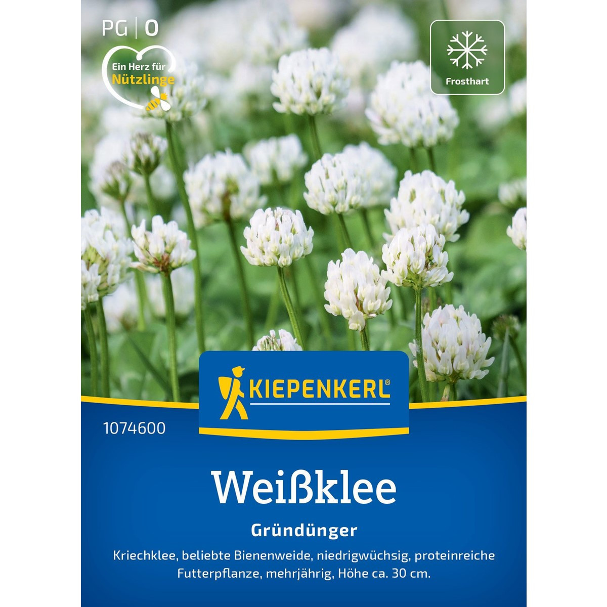 Zelené hnojenie - Biela ďatelina - semená - 60 g