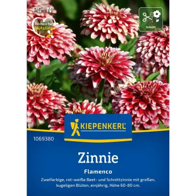Cínia Flamenco - Zinnia elegans - predaj semien - 50 ks