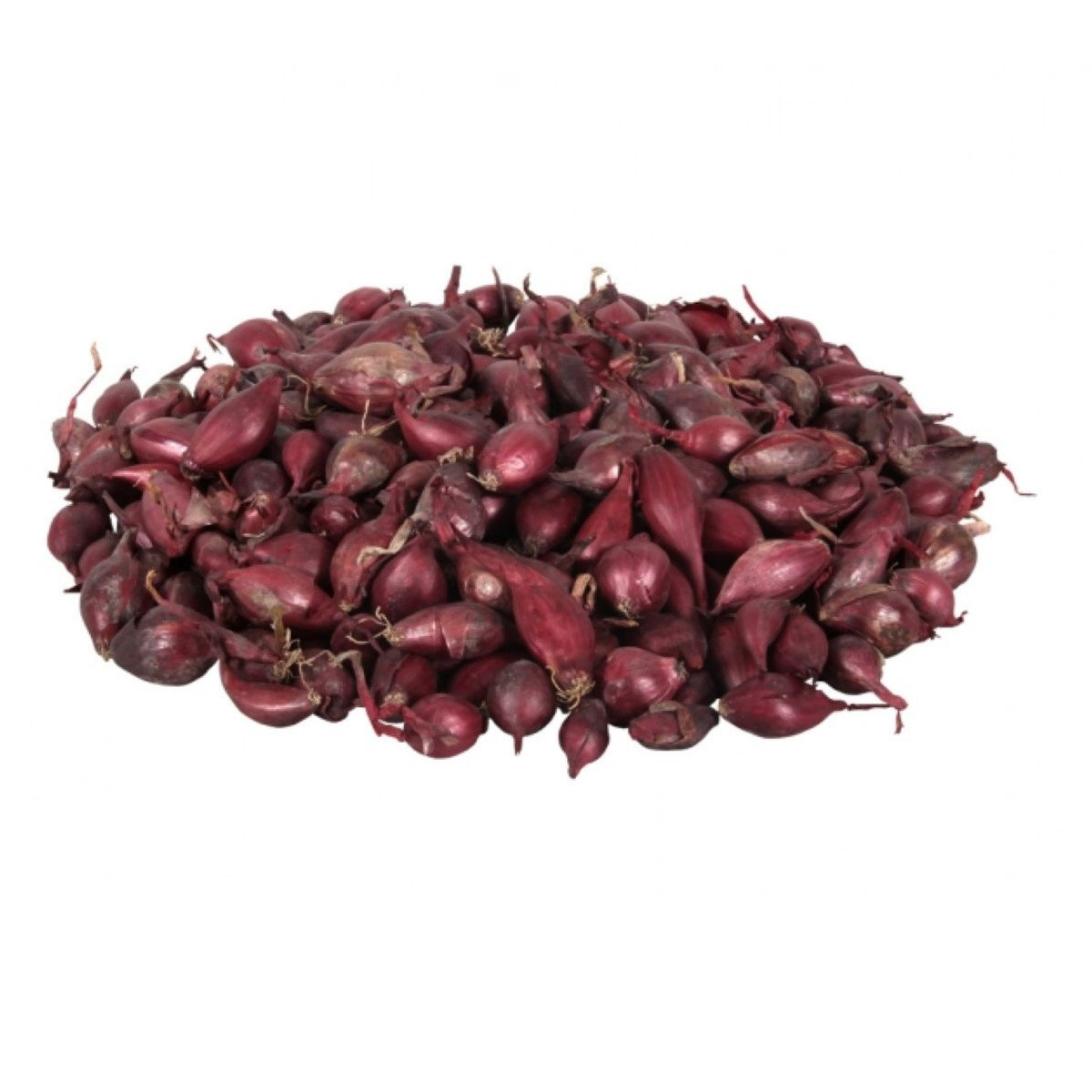 Cibuľa sadzačka Romy - Allium cepa - cibuľky - 500 g