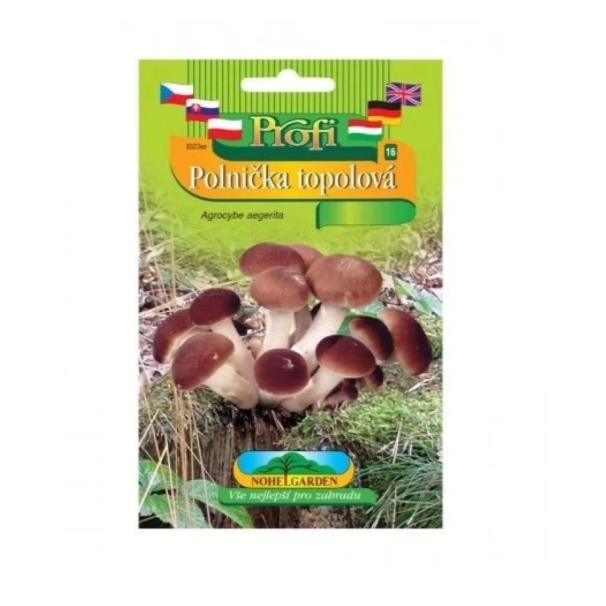 Polnička topoľová - Agrocybe aegerita - sadba - 1 ks