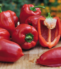 Paprika balkónová Almira Midi Red F1 - Capsicum annuum - semená - 5 ks