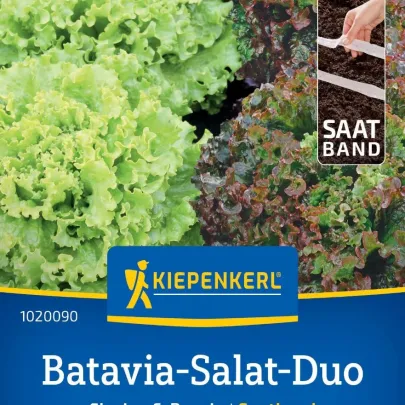Batavia šalát duo Florine & Rossia - výsevný pásik - 1 ks