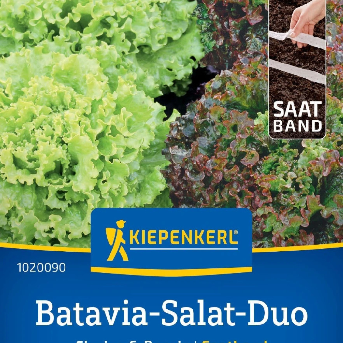 Batavia šalát duo Florine & Rossia - výsevný pásik - 1 ks