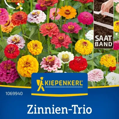 Cínia trio Bumblebee, Oklahoma a Liliput - výsevný pásik - 1 ks