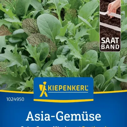 Mix ázijských šalátov - výsevný pásik - 1 ks