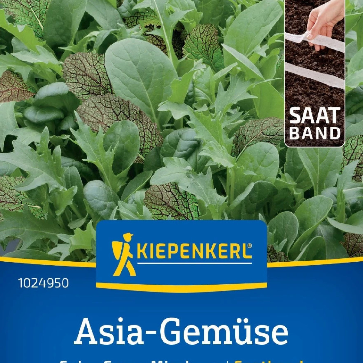 Mix ázijských šalátov - výsevný pásik - 1 ks