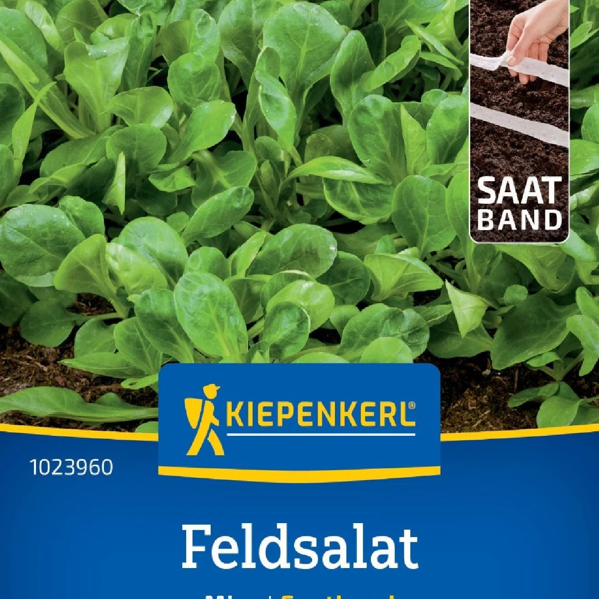 Šalát Miro - výsevný pásik - 1 ks