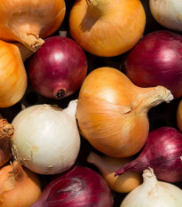 Cibuľa trio Hylander, Romy a Honeymoon - výsevný pásik - 1 ks