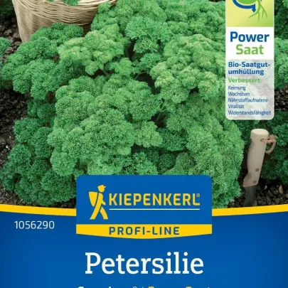 Petržlen Grandeur - PowerSaat - Petroselinum crispum - semená Kiepenkerl - 1 ks
