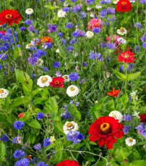 Trikolóra - Černý BioPro - lúčna zmes - 20 g