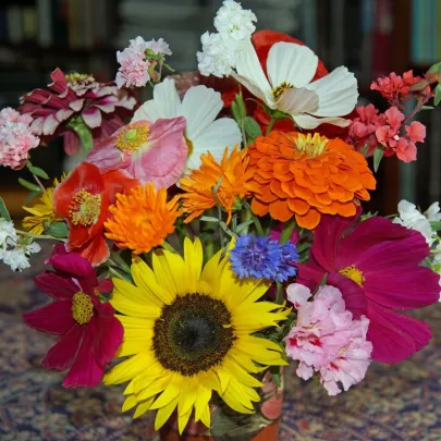 Pestrá kytica - Černý BioPro - lúčna zmes - 20 g