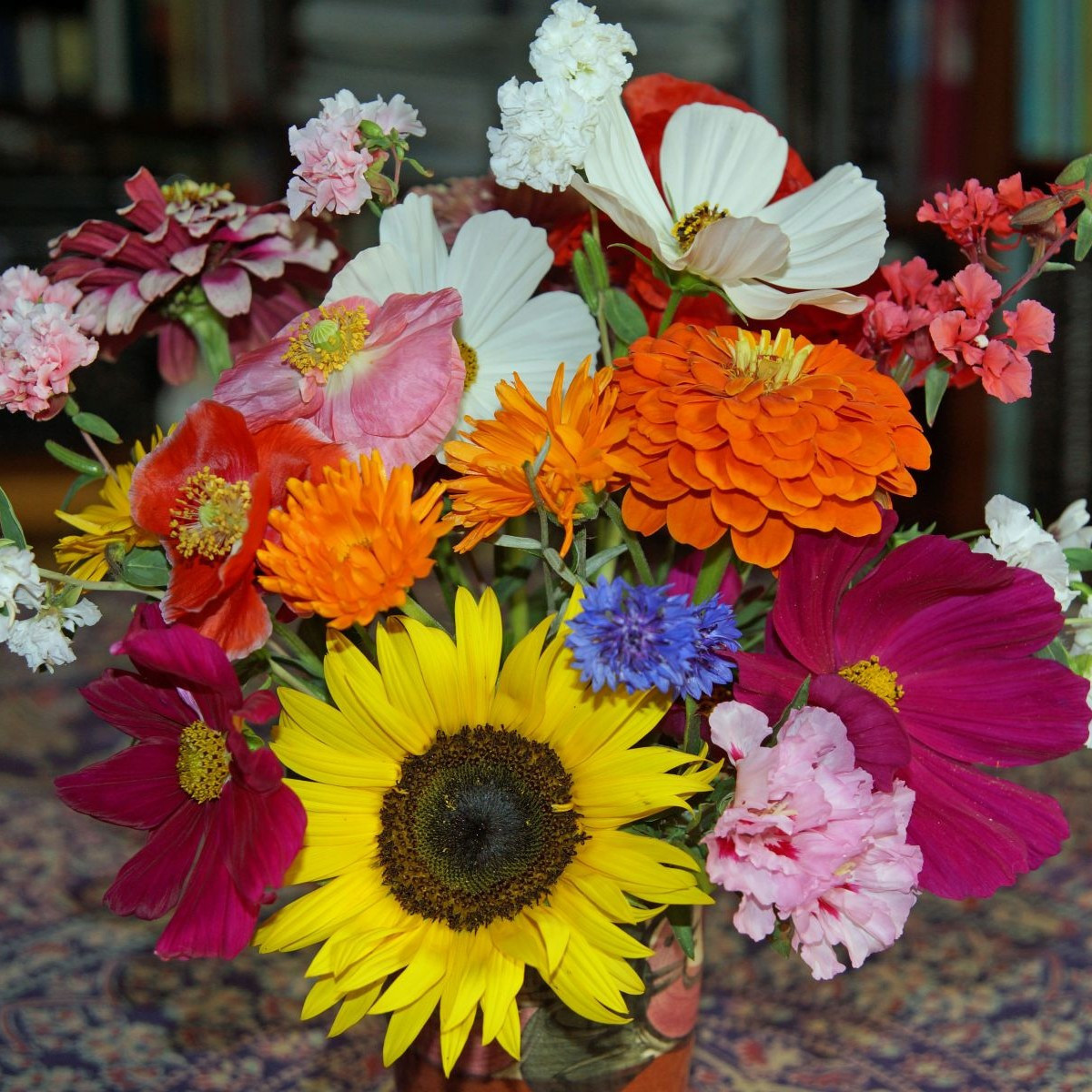 Pestrá kytica - Černý BioPro - lúčna zmes - 20 g