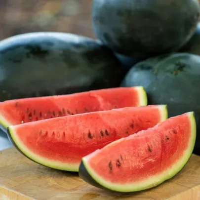 Melón vodný Little Darling F1 - Citrullus lanatus - semená - 5 ks