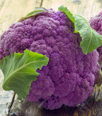 Karfiol Di Sicilia Violetto - Brassica oleracea - semená - 30 ks