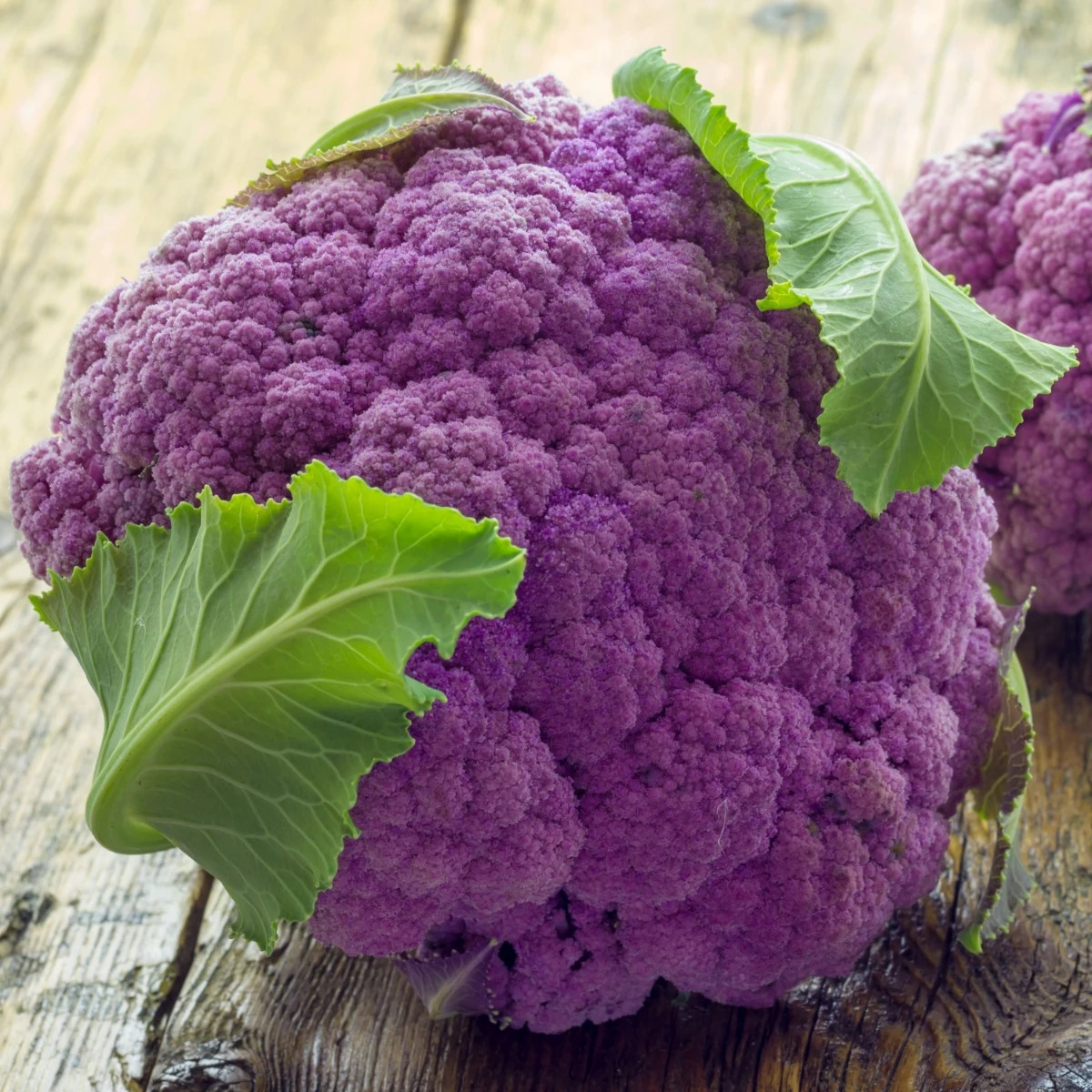Karfiol Di Sicilia Violetto - Brassica oleracea - semená - 30 ks