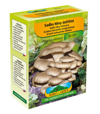 Hliva ustricová - Pleurotus ostreatus - sadivo - 250 ml