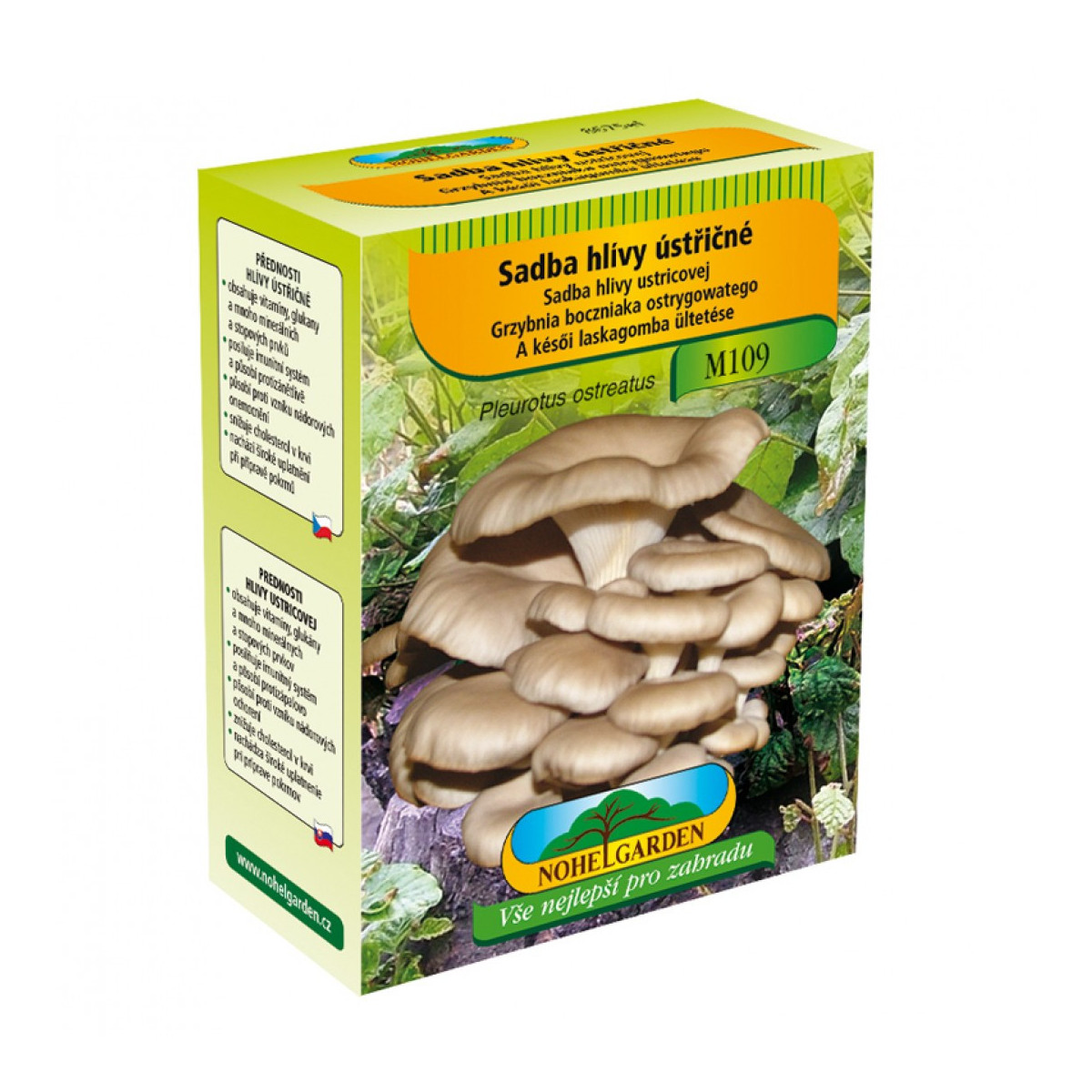 Hliva ustricová - Pleurotus ostreatus - sadivo - 250 ml