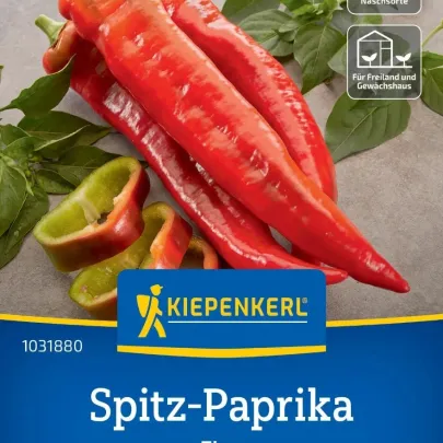 Paprika Thor F1 - Capsicum annuum - semená - 7 ks