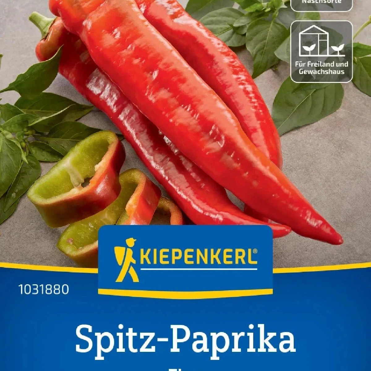Paprika Thor F1 - Capsicum annuum - semená - 7 ks