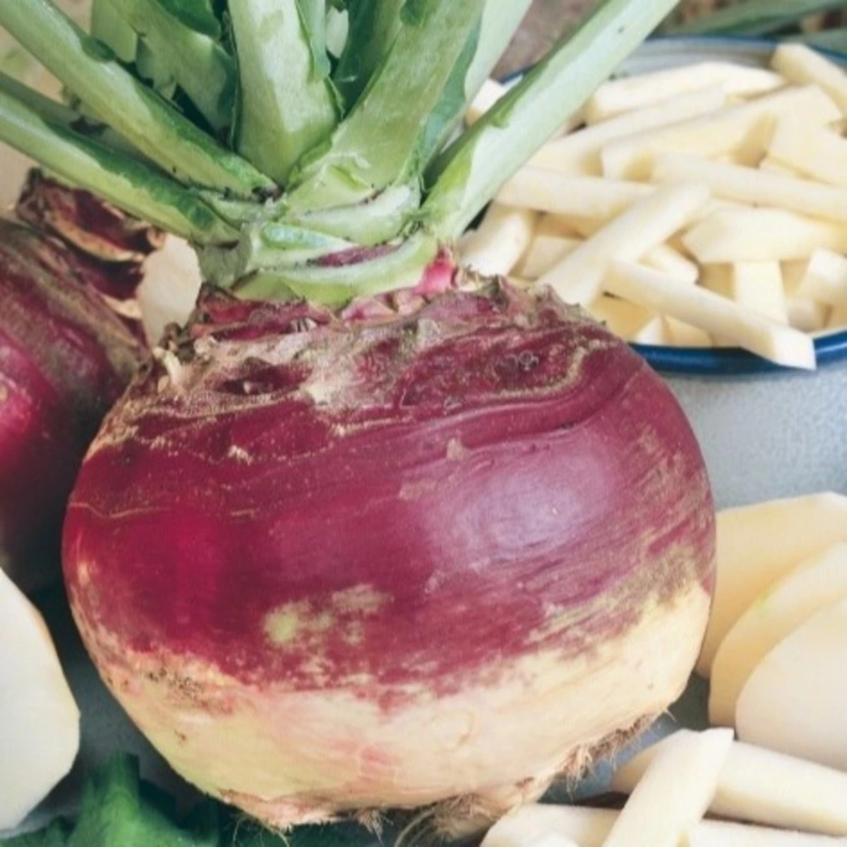 Kvaka Gowrie - Brassica napus var. napobrassica - semená - 200 ks