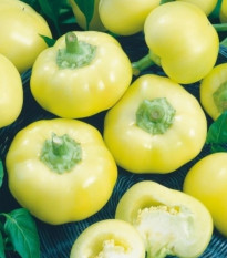 Paprika ročná Jablina F1 - Capsicum annuum - semená - 10 ks