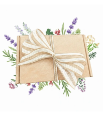 Balíček pre pestovateľov byliniek - darčeková súprava semien