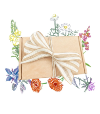 Balíček jedlých kvetov - darčeková súprava semien