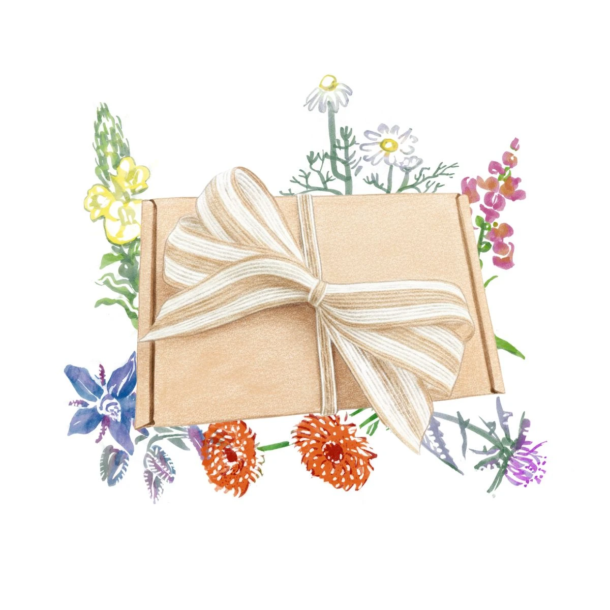 Balíček jedlých kvetov - darčeková súprava semien