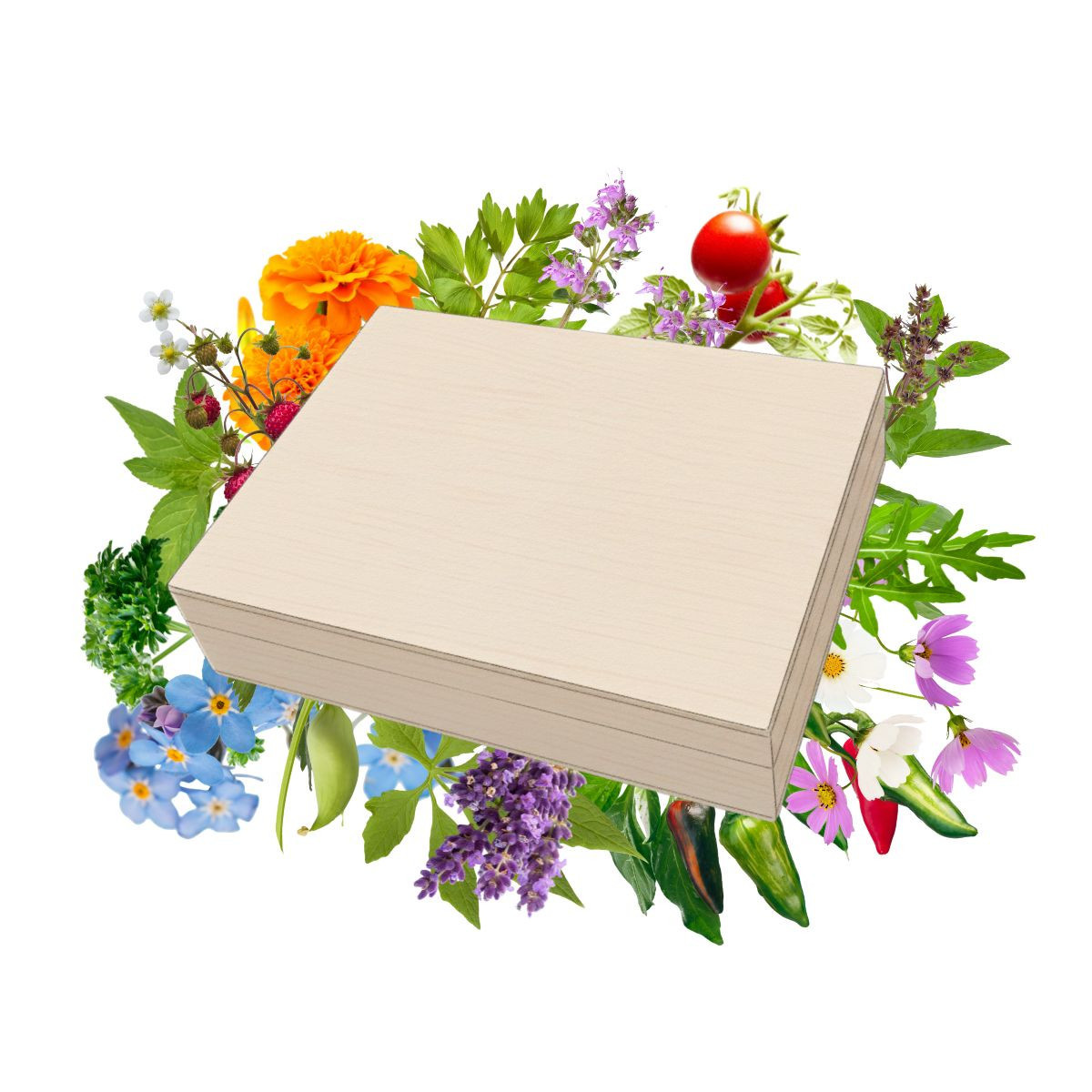 Hity medzi semienkami v drevenej škatuľke – darčeková súprava